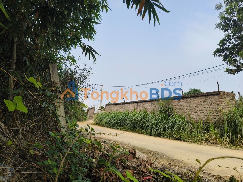 Nhà Minh Quang Ba Vì 1080m² giá 2.45 tỷ - Chính chủ bán