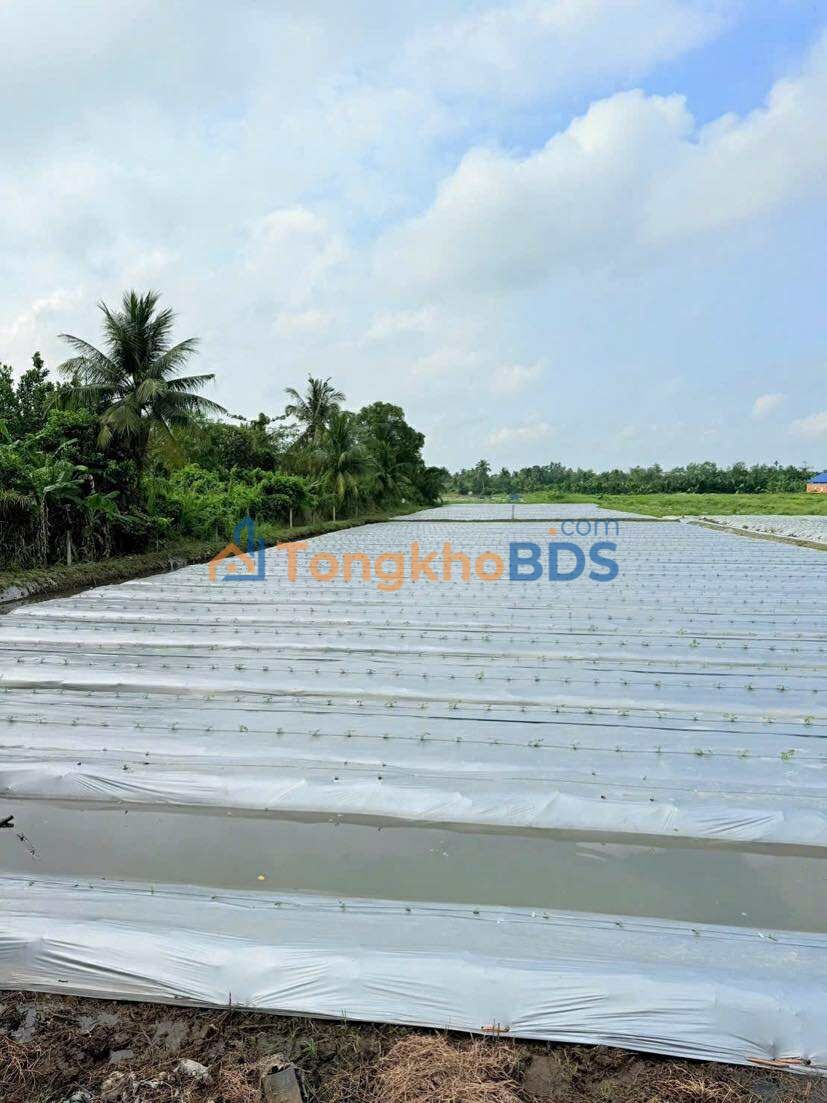 Nhà riêng An Bình Ninh Kiều 450m² 4.65 tỷ - Chính chủ bán