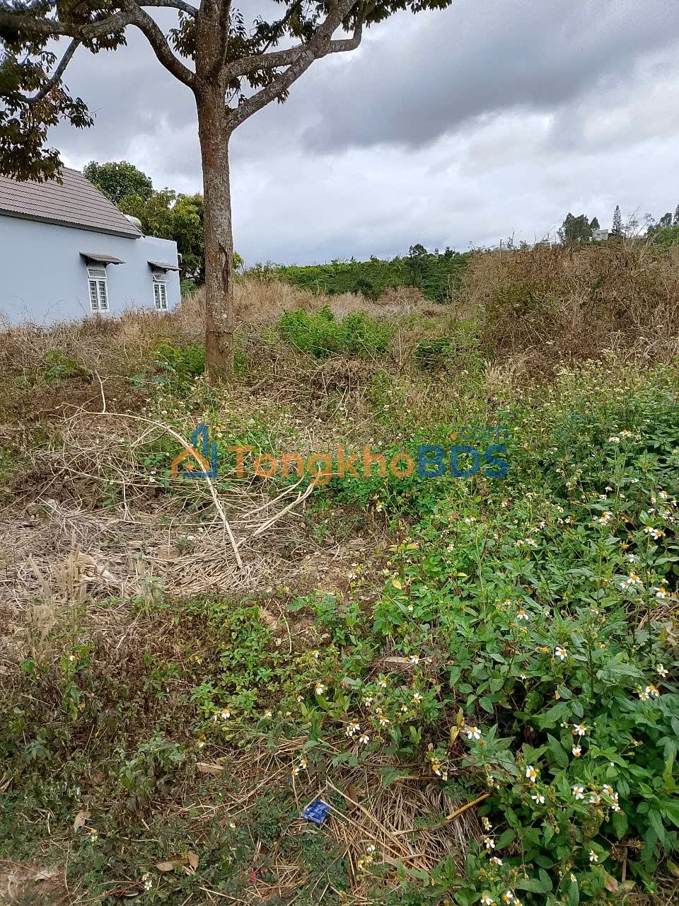 Đất nền Ninh Gia Đức Trọng 285m² 1.8 tỷ - Xây dựng tự do