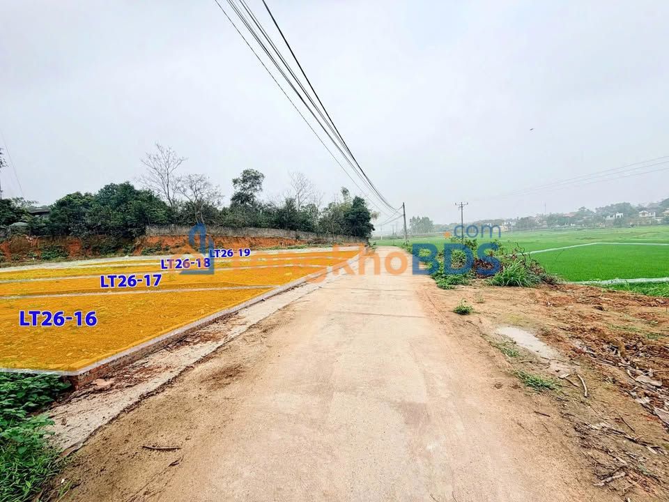 Đất nền Vĩnh Phúc 100m² - Sổ đỏ thổ cư, sát KCN Tam Dương