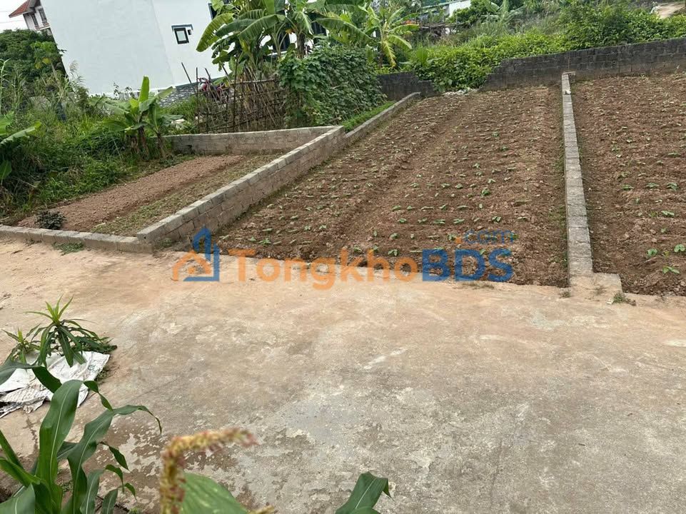 Đất nền Thường Tín 44m² giá 3.5 tỷ - Đường ô tô vào tận nơi