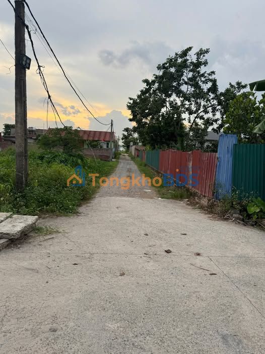 Cho thuê đất làm xưởng 400m² Thụy Lâm, Đông Anh - Xe tải 10 tấn vào tận nơi