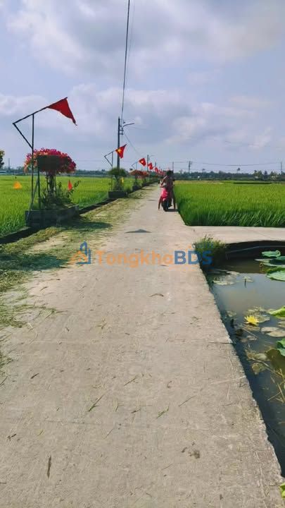 Đất Tống Văn Sương Hội An 1200m² 28 tỷ - Sổ đỏ chính chủ