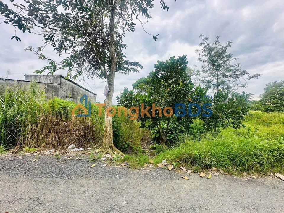 Đất nền Phước Hậu Vĩnh Long 90,5m² 650 triệu - Đường to ô tô