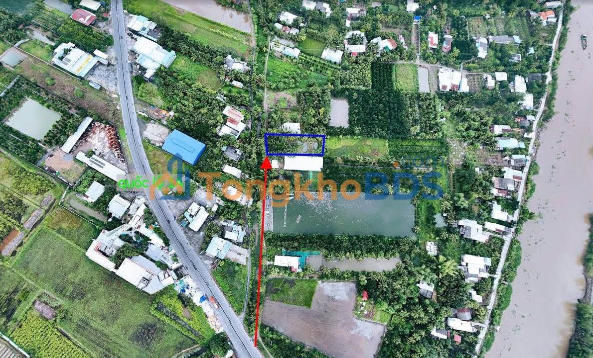 Đất nền QL1A Tân Hạnh 1481m² 5,18 tỷ - Sổ đỏ chính chủ