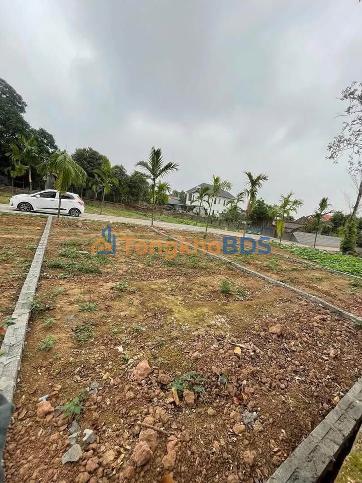 Đất nền Hòa Mạc Duy Tiên 67m² 1 tỷ - Sổ đỏ chính chủ