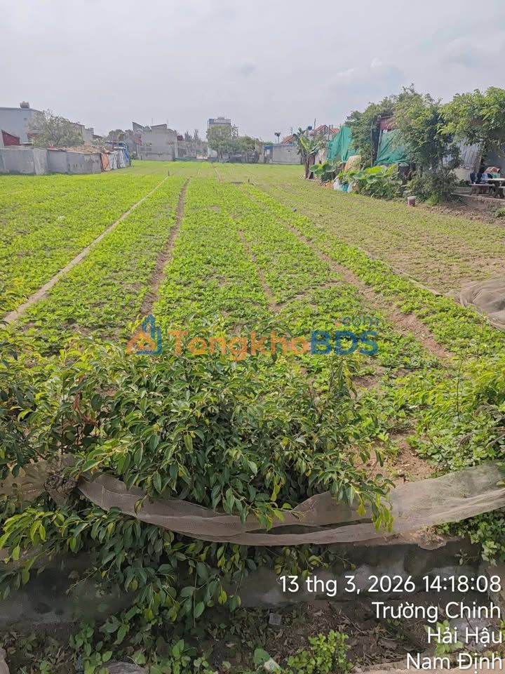 Đất nền Hải Thịnh 148m² 1.4 tỷ - Sổ đỏ chính chủ