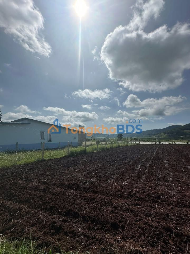 Đất nền Đơn Dương 532m² giá 750 triệu - Sổ đỏ chính chủ