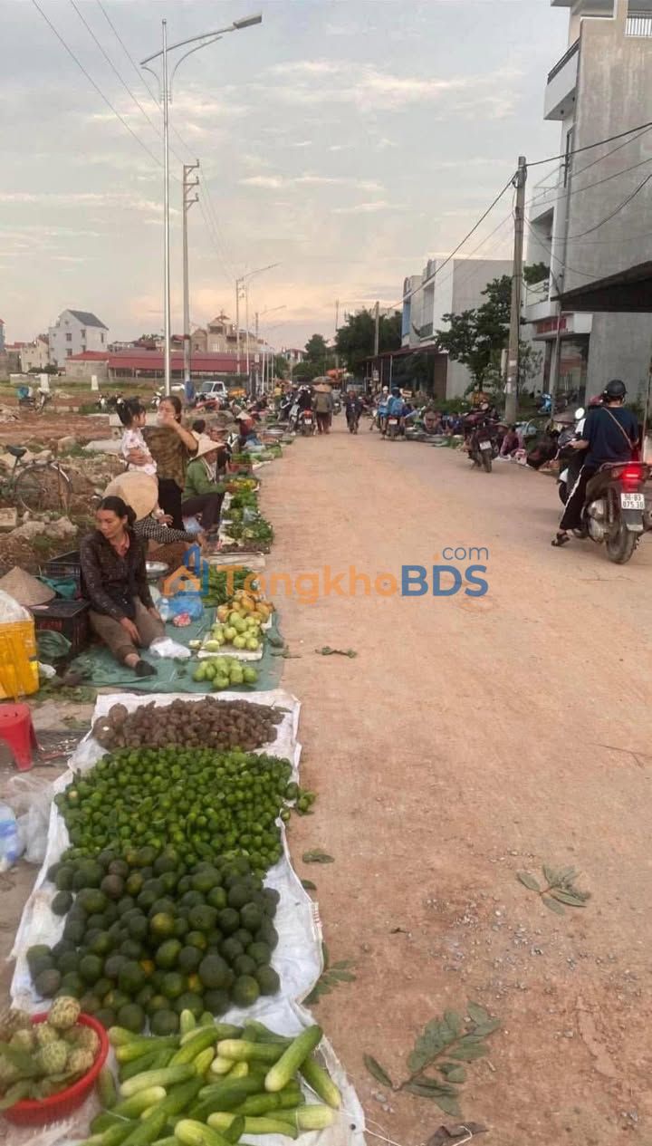 Đất nền Tân An Bắc Giang 96m² 3 tỷ - Sổ đỏ chính chủ