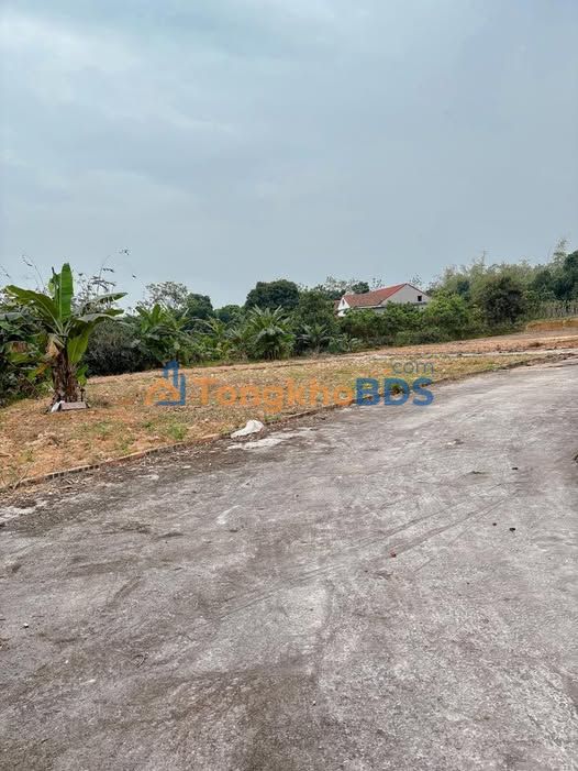 Đất nền Lâm Thao 100m² 5xx triệu - Đất thổ cư 100%