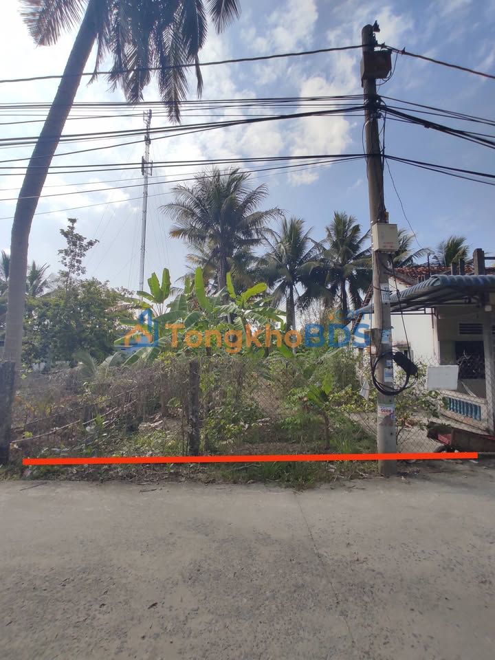 Đất vườn An Bình Cần Thơ 300m² 1,1 tỷ - Nghỉ dưỡng lý tưởng