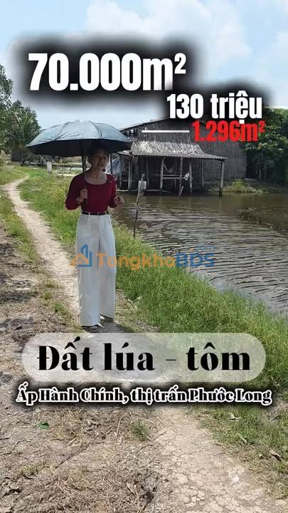 Đất lúa-tôm Phước Long 70.000m² 7.02 tỷ - Tiềm năng tăng giá