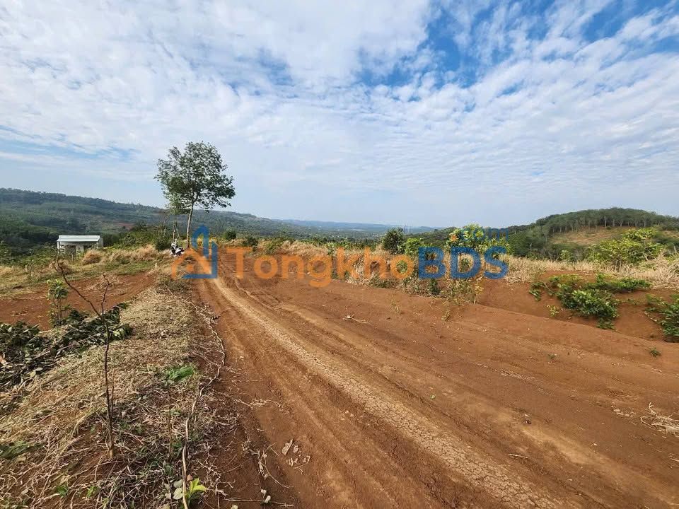 Đất Kiến Thành Đắk Nông 720m² 560 triệu - Sổ hồng rõ ràng