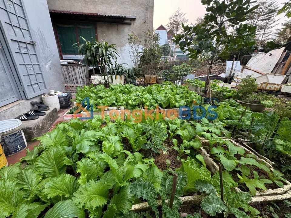 Nhà Hà Đông Lê Trọng Tấn 32m² - Sẵn sàng ở ngay