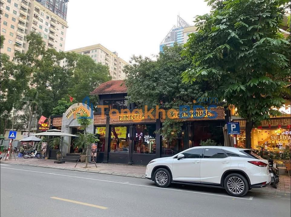 Townhouse Trúc Bạch 500m² 100 triệu - Vị trí đẹp