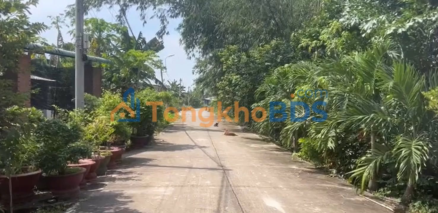 Đất mặt tiền Nguyễn Thị He Củ Chi 281m² 2 tỷ - Sổ đỏ chính chủ