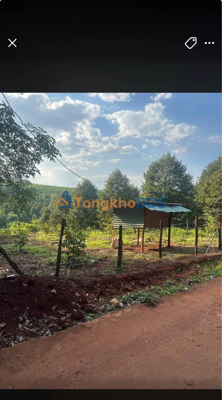 Đất vườn Ấp 6 Long Tân 540m² 320 triệu - Giá đầu tư tốt