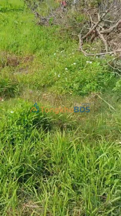 Đất Đồng Hòa Kiến An 112m²/1,6 tỷ - Sổ đỏ chính chủ