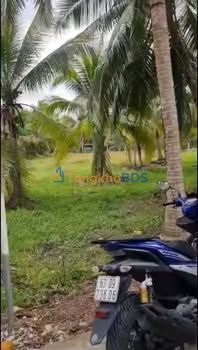 Đất nền 530m² Thổ cư 100% - Xã Bình Trưng, Châu Thành, Tiền Giang - Giá 450 Triệu