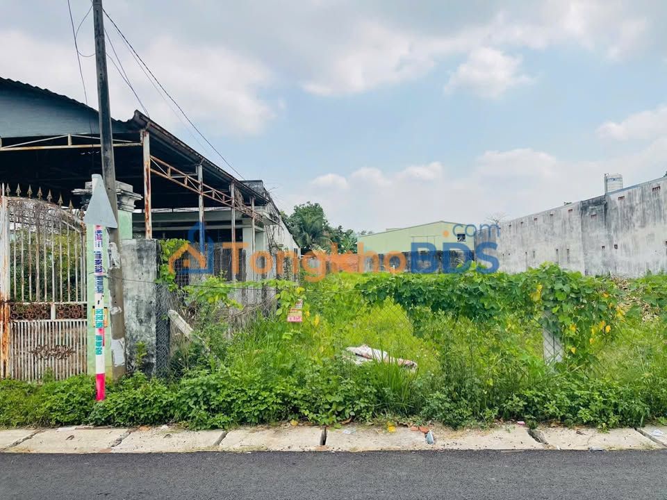 Đất Tân Phú Trung Củ Chi 126m² Thỏa thuận - Pháp lý rõ ràng