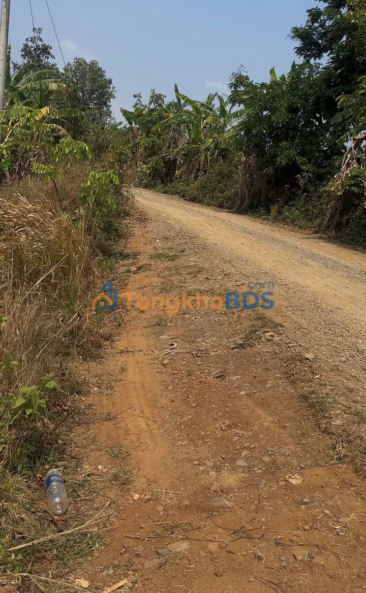 Đất nền HNol Đăk Đoa 2.160m² 200 triệu - Đường to ô tô