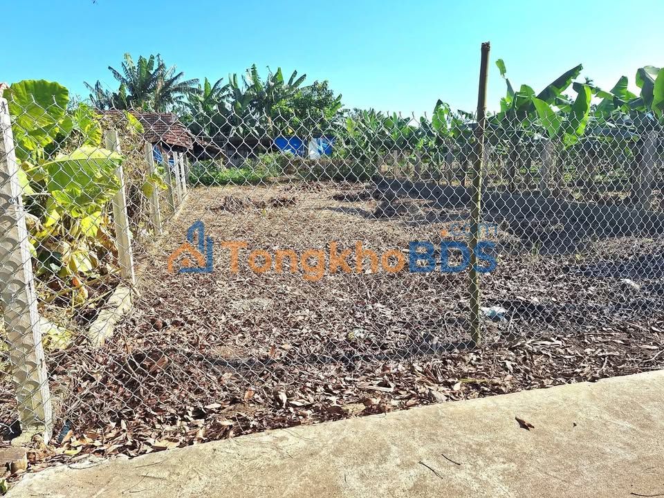 Đất Nghĩa Dũng Quảng Ngãi 125m² 700 triệu - Đất thổ cư 100%