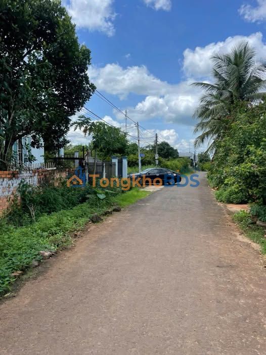 Đất Triệu Quang Phục Buôn Ma Thuột 113m² 1.15 tỷ - Sổ đỏ chính chủ