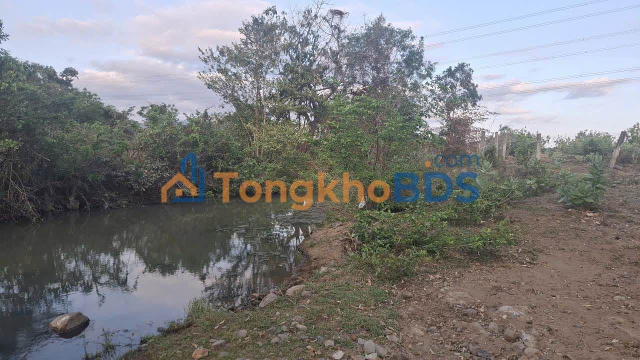 Farm Mỹ Sơn Ninh Sơn 1.440m² 590 triệu - Sinh thái xanh