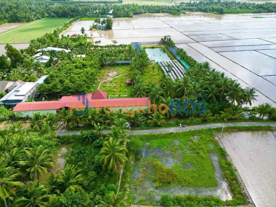 Đất nền Tân Long Hội 136m² 370tr - Sổ đỏ chính chủ