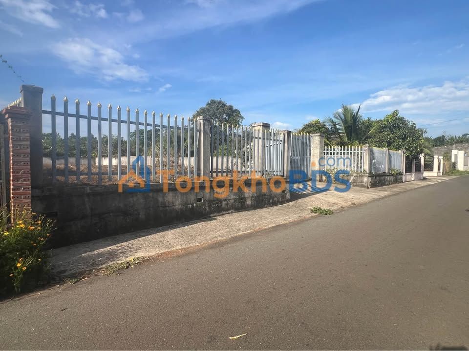 Đất nền Bàu Chinh 994m² - Đường to ô tô