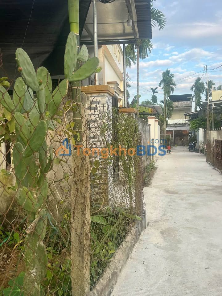 Đất nền Nghĩa Lộ Quảng Ngãi 53m² 420 triệu - Đầu tư dài hạn