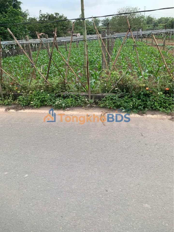 Đất Chương Dương Thường Tín 130m² 7 tỷ - Sổ đỏ chính chủ