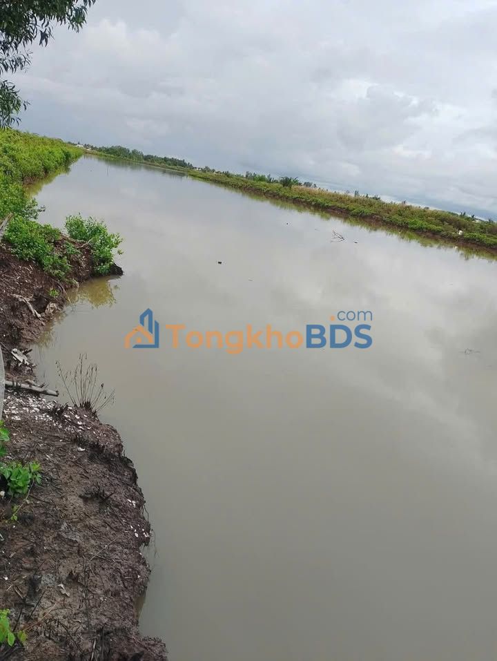 Đất vườn Vân Khánh Tây 22 công 2.53 tỷ - Đầu tư dài hạn