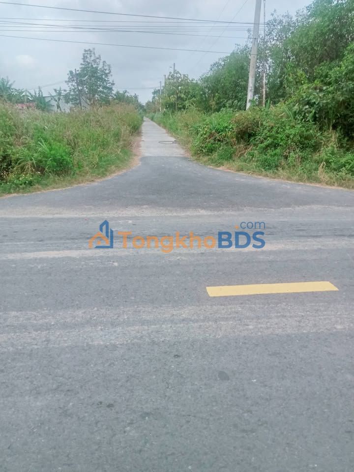 Đất Hiệp Mỹ Tây 13,5 công 1,3365 tỷ - Giá tốt hiếm có