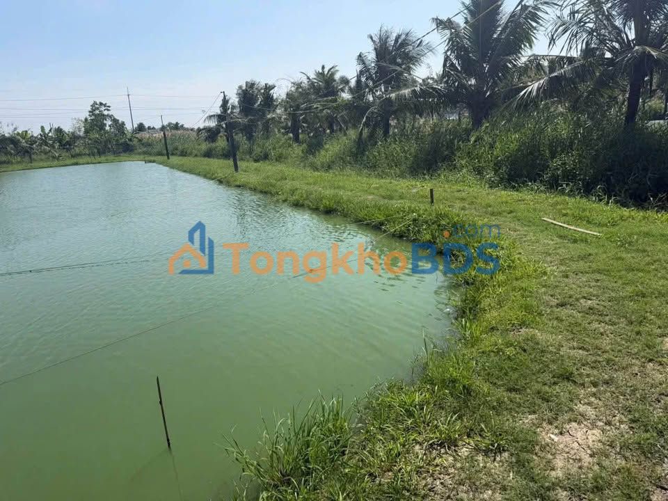 Đất nền Cái Rắn Phú Hưng 12 công - Tiềm năng tăng giá