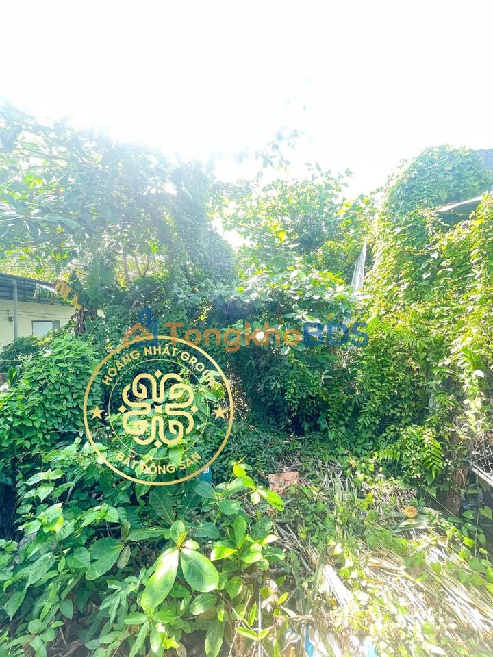 Đất vườn Cà Mau Lý Văn Lâm 391m² 1 tỷ - Sổ hồng chính chủ