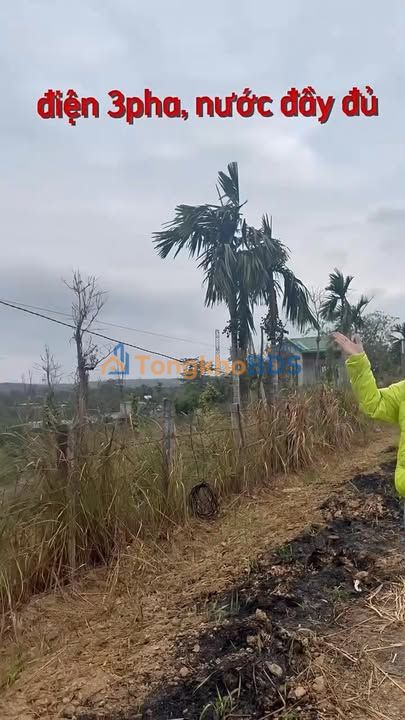 Đất vườn Ea H'leo 5,4ha 24 tỷ - Sinh thái xanh