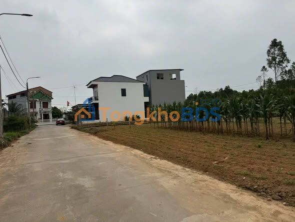 Đất nền Trường Chinh 100m² 2.2 tỷ - Đường to ô tô