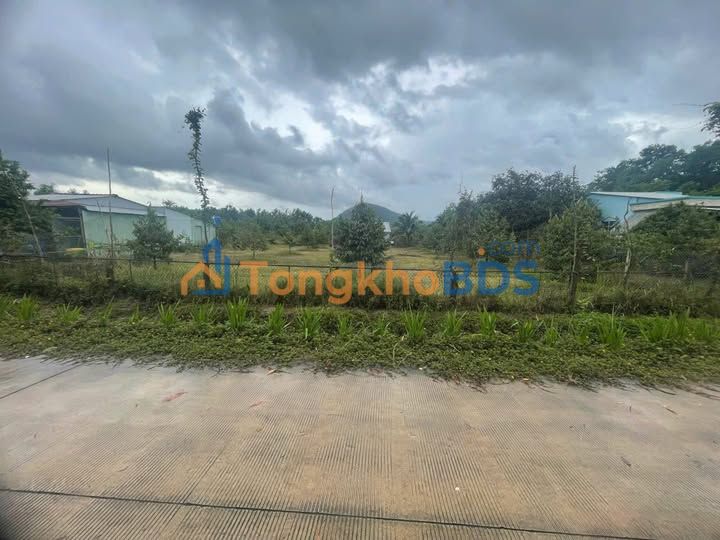 Đất nền Ấp Suối Cát Phú Quốc 2000m² 5 tỷ - Sổ đỏ chính chủ