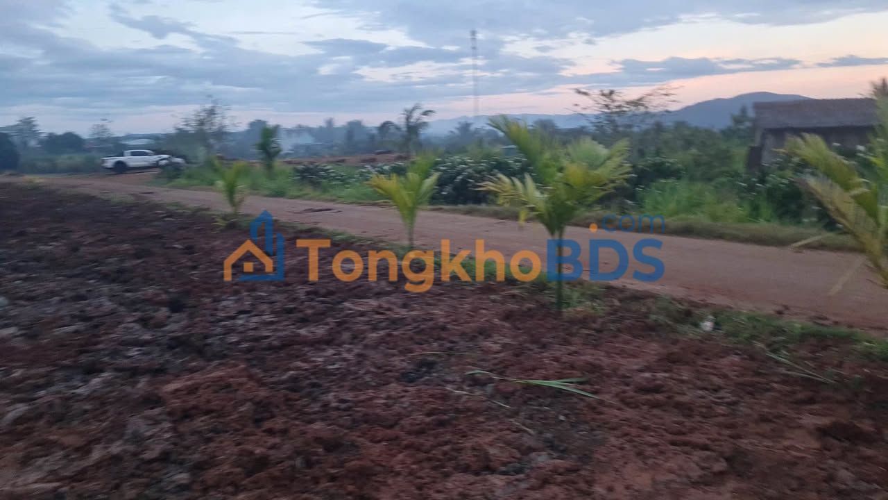 Đất Đan Phượng Lâm Hà 1.1 tỷ - Sổ đỏ chính chủ