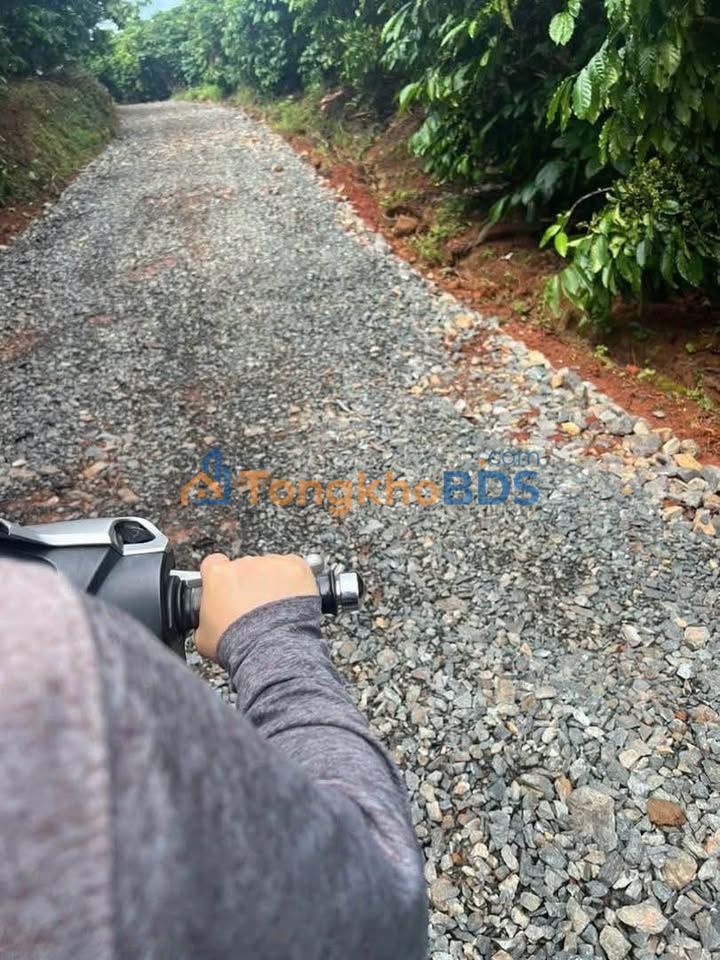 Farm Đoàn Thị Điểm Bảo Lộc 2.700m² 5.25 tỷ - Nghỉ dưỡng