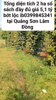 Đất Quảng Sơn Đạ Huoai 2ha 5.1 tỷ - Pháp lý rõ ràng