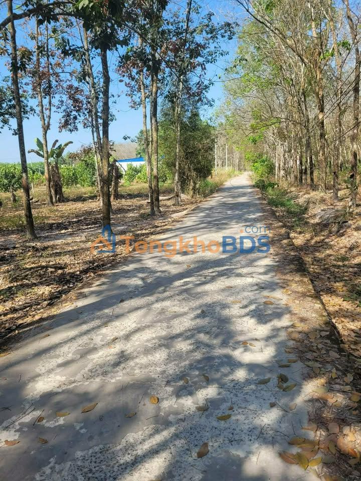 Đất nền Minh Long Tân Uyên 1.200m² 1 tỷ - Sổ đỏ chính chủ