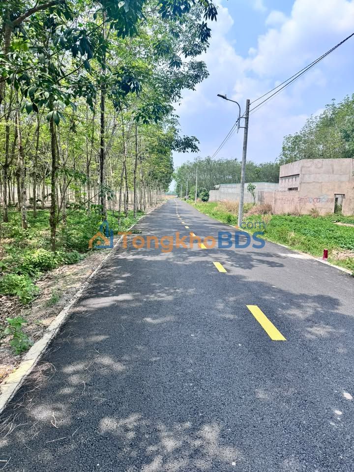 Đất nền Hòa Lợi TP. Bến Cát 100m² 1 tỷ - Sổ đỏ chính chủ