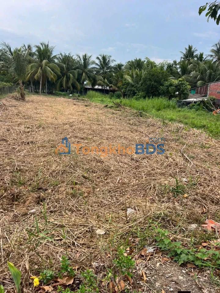 Đất nền An Phước Vĩnh Long 619,2m² 1,4 tỷ - Thổ cư 100%