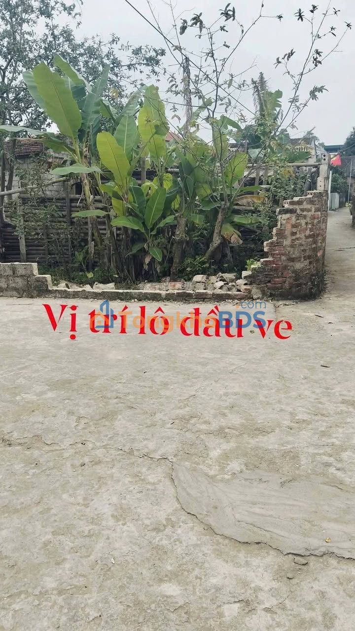 Đất nền Hoằng Thanh 113m² 600 triệu - Đường to ô tô