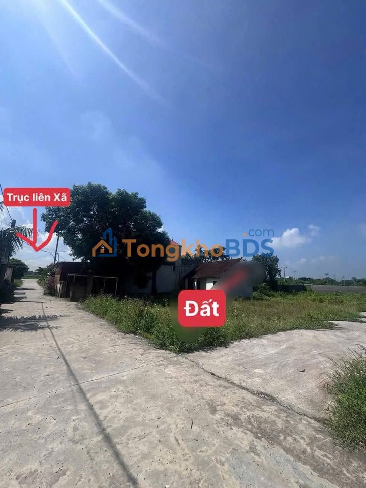 Đất Nền Thường Tín 110m² - Gần Cụm CN, Tiềm Năng Đầu Tư Lớn