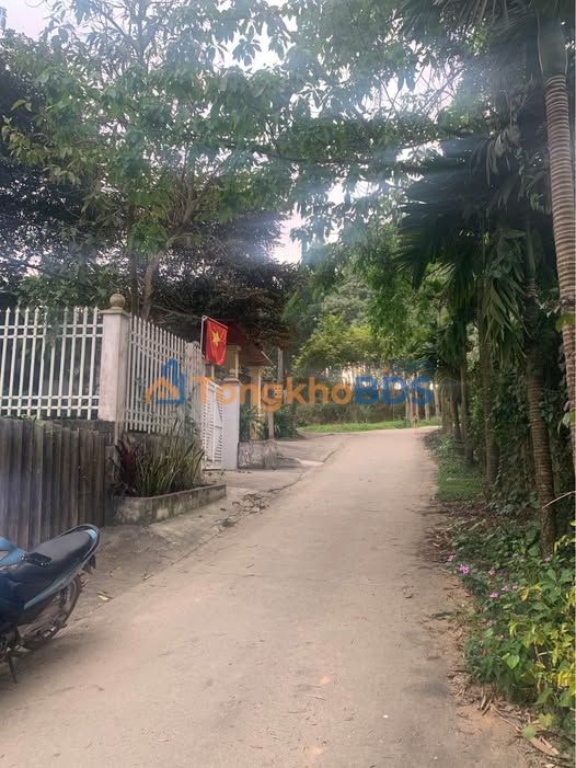 Đất Trung Môn Yên Sơn 297m² giá 1.1 tỷ - Xây dựng tự do