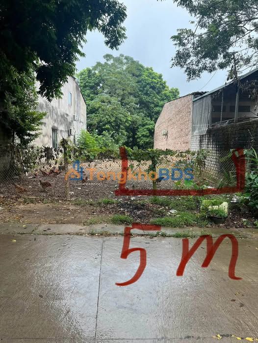 Đất tổ 1 Tân Hà Tuyên Quang 192m² 3 tỷ - Sổ đỏ chính chủ