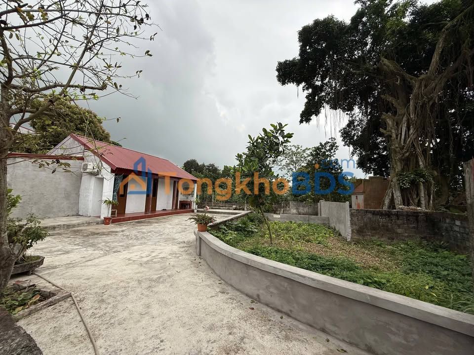 Nhà riêng Minh Quang Vũ Thư 280m² 5xx triệu - Sẵn sàng ở ngay